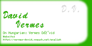 david vermes business card